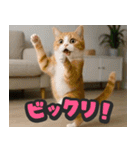 飛び出す★リアル猫にズームイン！（個別スタンプ：14）