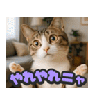 飛び出す★リアル猫にズームイン！（個別スタンプ：18）