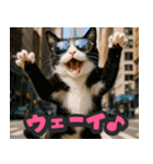 飛び出す★リアル猫にズームイン！（個別スタンプ：21）