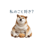 毎日使える実写しば犬彼女【かわいい】（個別スタンプ：6）