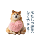 毎日使える実写しば犬彼女【かわいい】（個別スタンプ：14）