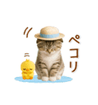 ▶動く癒しにゃんこの「夏」の毎日（個別スタンプ：3）