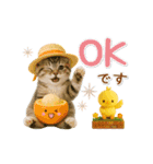 ▶動く癒しにゃんこの「夏」の毎日（個別スタンプ：4）