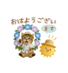 ▶動く癒しにゃんこの「夏」の毎日（個別スタンプ：5）