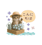 ▶動く癒しにゃんこの「夏」の毎日（個別スタンプ：6）