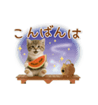 ▶動く癒しにゃんこの「夏」の毎日（個別スタンプ：7）