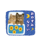 ▶動く癒しにゃんこの「夏」の毎日（個別スタンプ：8）