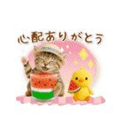 ▶動く癒しにゃんこの「夏」の毎日（個別スタンプ：11）