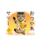▶動く癒しにゃんこの「夏」の毎日（個別スタンプ：13）