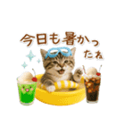 ▶動く癒しにゃんこの「夏」の毎日（個別スタンプ：15）