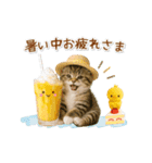 ▶動く癒しにゃんこの「夏」の毎日（個別スタンプ：16）