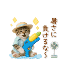 ▶動く癒しにゃんこの「夏」の毎日（個別スタンプ：20）