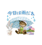 ▶動く癒しにゃんこの「夏」の毎日（個別スタンプ：21）