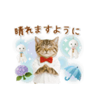 ▶動く癒しにゃんこの「夏」の毎日（個別スタンプ：22）