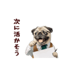 動く！パグ部長（個別スタンプ：1）