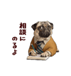 動く！パグ部長（個別スタンプ：4）