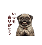 動く！パグ部長（個別スタンプ：8）