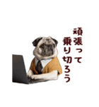 動く！パグ部長（個別スタンプ：15）