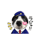 ボーダーコリーのLUCYちゃん（個別スタンプ：2）