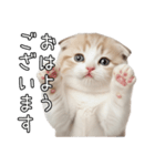 先輩に送れるネコスタンプ（個別スタンプ：1）