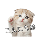 先輩に送れるネコスタンプ（個別スタンプ：2）