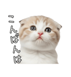 先輩に送れるネコスタンプ（個別スタンプ：3）