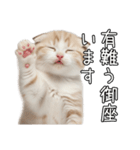 先輩に送れるネコスタンプ（個別スタンプ：9）