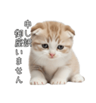 先輩に送れるネコスタンプ（個別スタンプ：11）