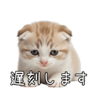 先輩に送れるネコスタンプ（個別スタンプ：12）