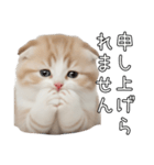 先輩に送れるネコスタンプ（個別スタンプ：20）