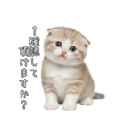 先輩に送れるネコスタンプ（個別スタンプ：23）