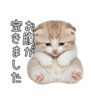 先輩に送れるネコスタンプ（個別スタンプ：24）