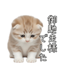 先輩に送れるネコスタンプ（個別スタンプ：25）