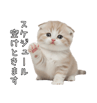 先輩に送れるネコスタンプ（個別スタンプ：32）