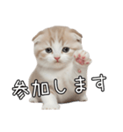 先輩に送れるネコスタンプ（個別スタンプ：35）