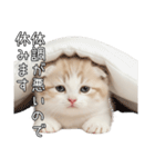先輩に送れるネコスタンプ（個別スタンプ：37）