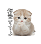 先輩に送れるネコスタンプ（個別スタンプ：38）