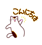 和風猫＜毎日使える16＞（個別スタンプ：2）