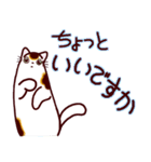 和風猫＜毎日使える16＞（個別スタンプ：6）