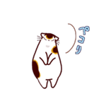 和風猫＜毎日使える16＞（個別スタンプ：8）