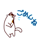 和風猫＜毎日使える16＞（個別スタンプ：9）