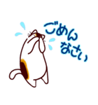 和風猫＜毎日使える16＞（個別スタンプ：10）