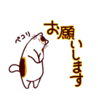 和風猫＜毎日使える16＞（個別スタンプ：13）