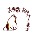 和風猫＜毎日使える16＞（個別スタンプ：14）