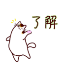 和風猫＜毎日使える16＞（個別スタンプ：16）