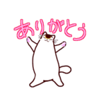 和風猫＜毎日使える16＞（個別スタンプ：17）