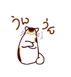 和風猫＜毎日使える16＞（個別スタンプ：22）