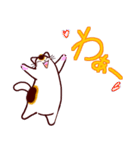和風猫＜毎日使える16＞（個別スタンプ：23）