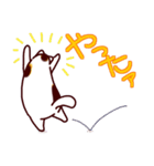 和風猫＜毎日使える16＞（個別スタンプ：25）