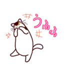 和風猫＜毎日使える16＞（個別スタンプ：26）